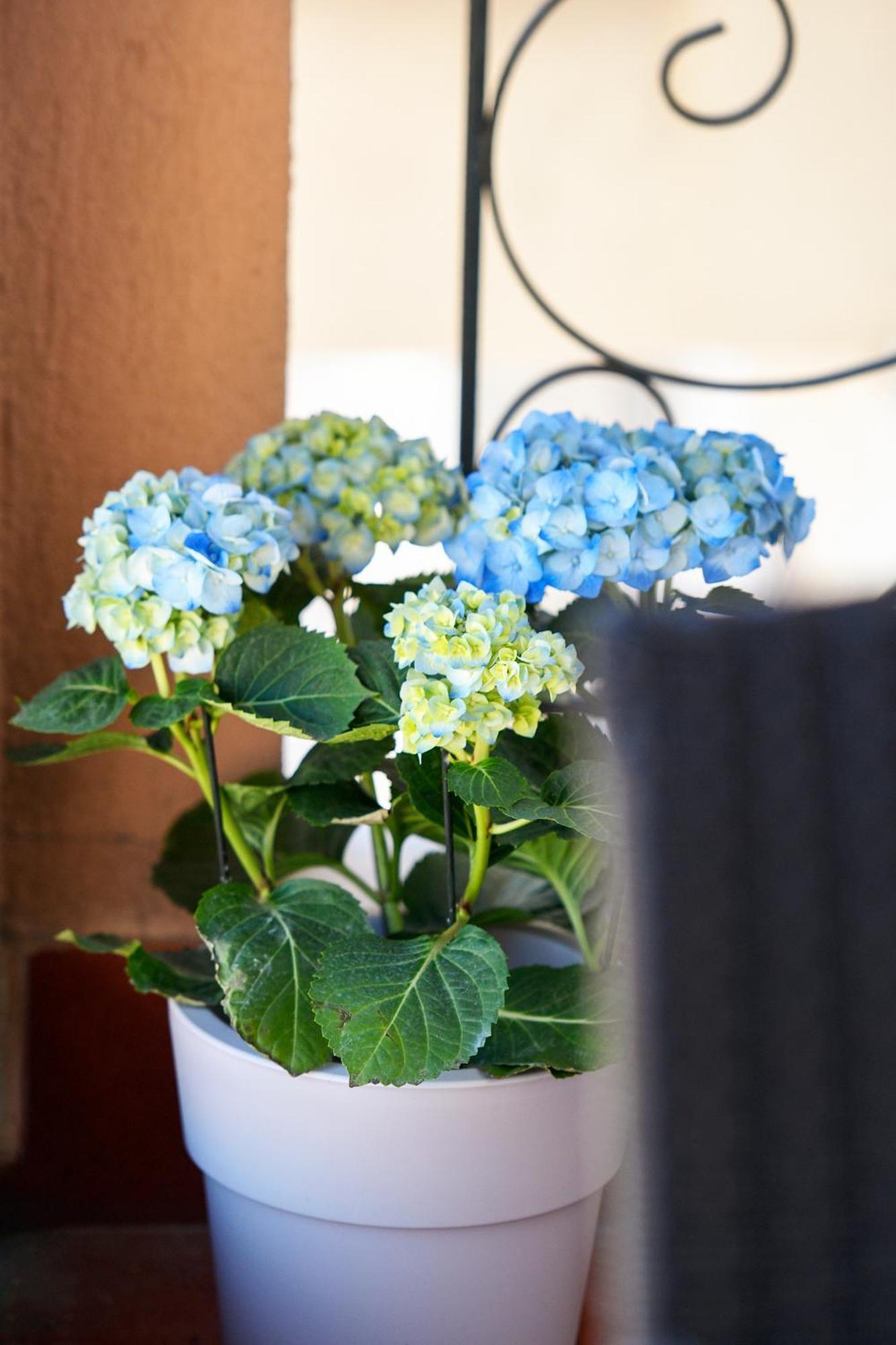 Our Happy Place Maisonette Tatil Evi *